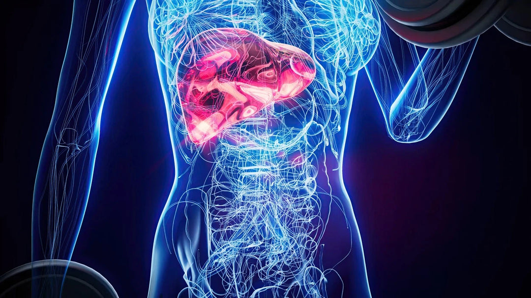How to Naturally Detox Your Liver in 7 Days? 