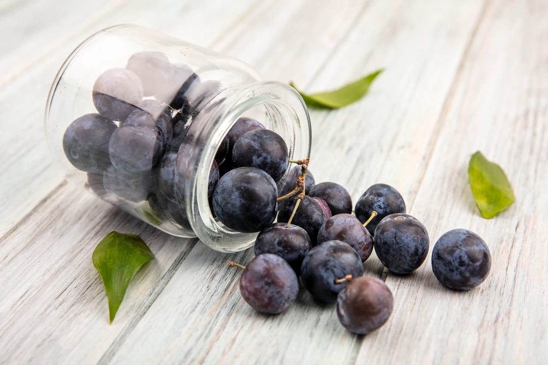 How Bilberry Extract Fights Aging for Healthier Skin 