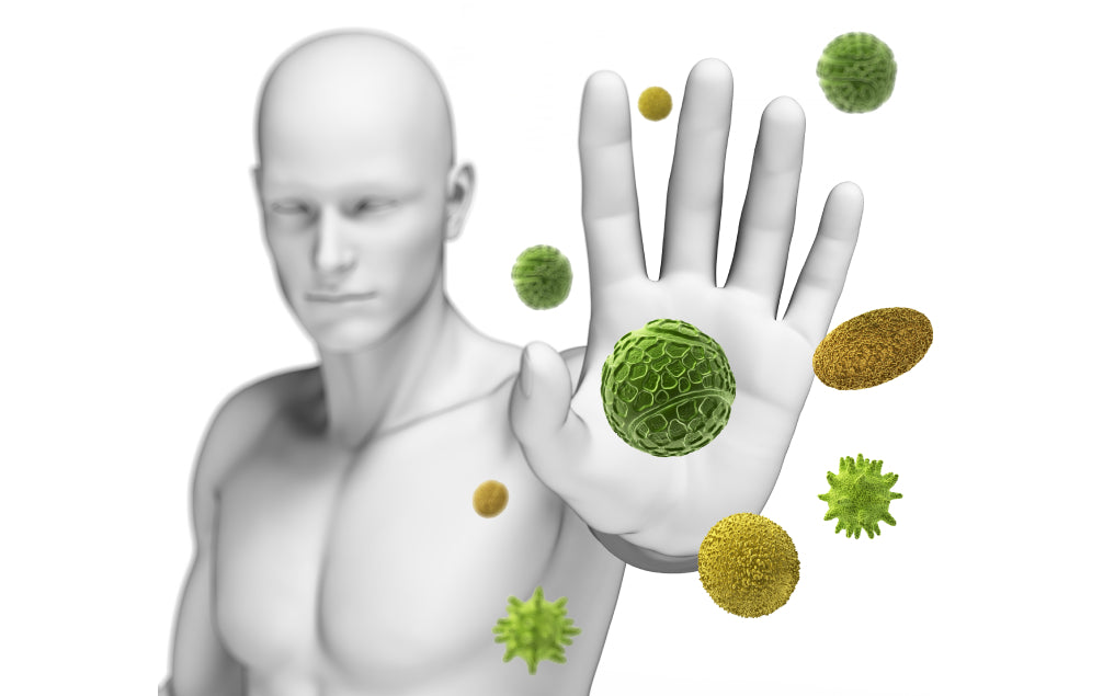 Five Best Vitamins And Minerals For A Healthy Immune System