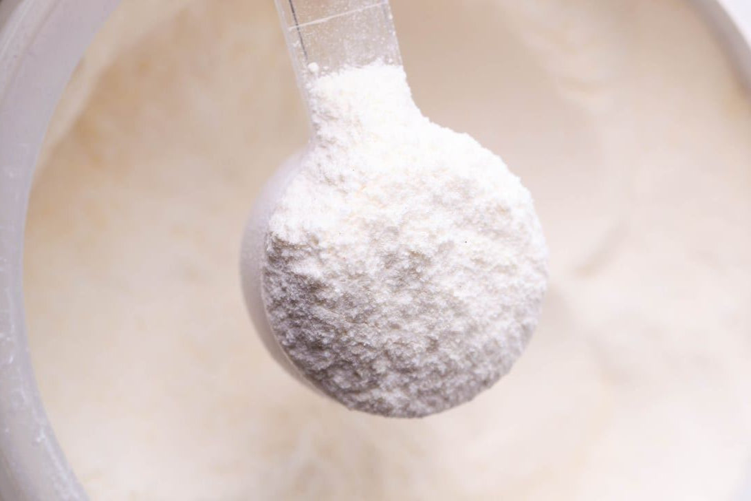 Creatine for Beginners