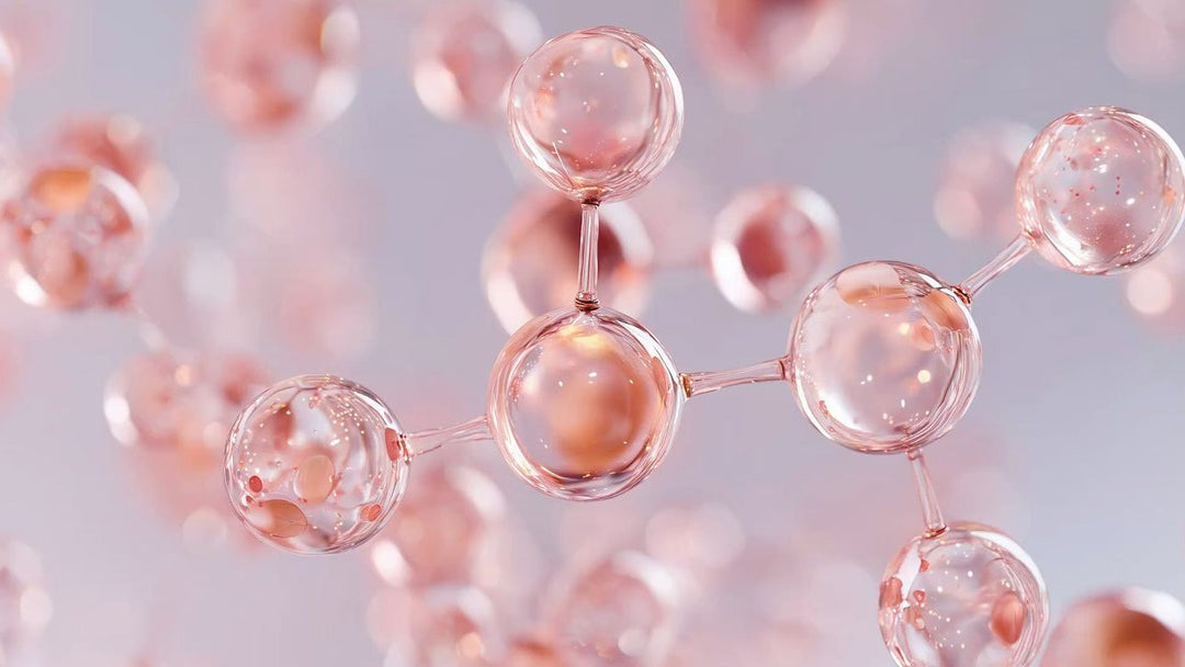 Marine Collagen Amino Acid Profile: The Building Blocks Behind Healthy Skin