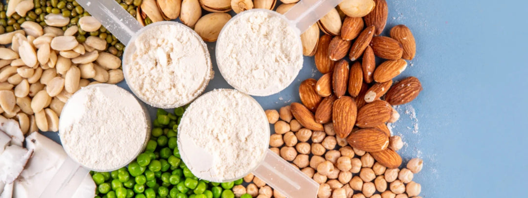 Essential Checklist: Prevent Protein Powder Bloat 