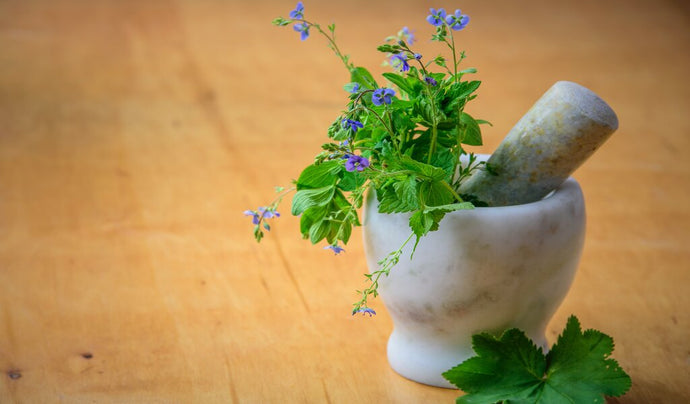 Understanding the Concept of Herbal Detox