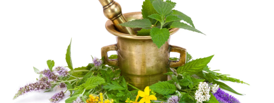 How to Balance Cortisol with Natural Herbs 