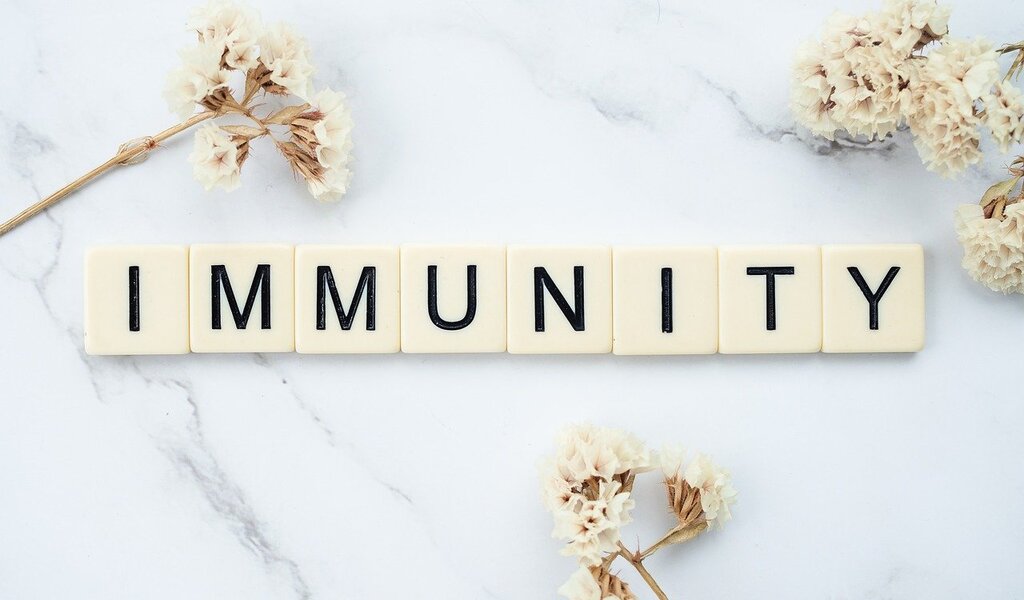 Immuinity Your Guide To Immunity : Its Different Types