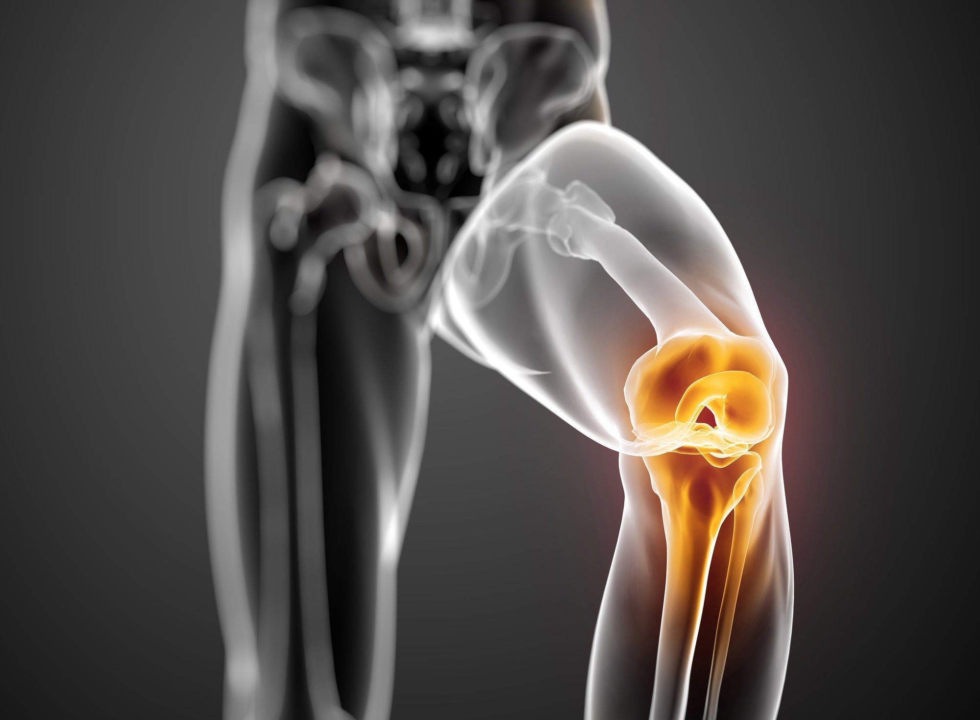 Marine Collagen for Bone and Joint Health