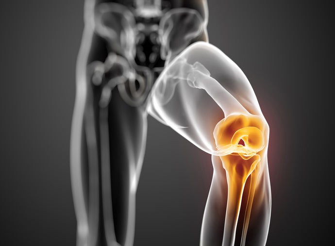 Marine Collagen for Bone and Joint Health