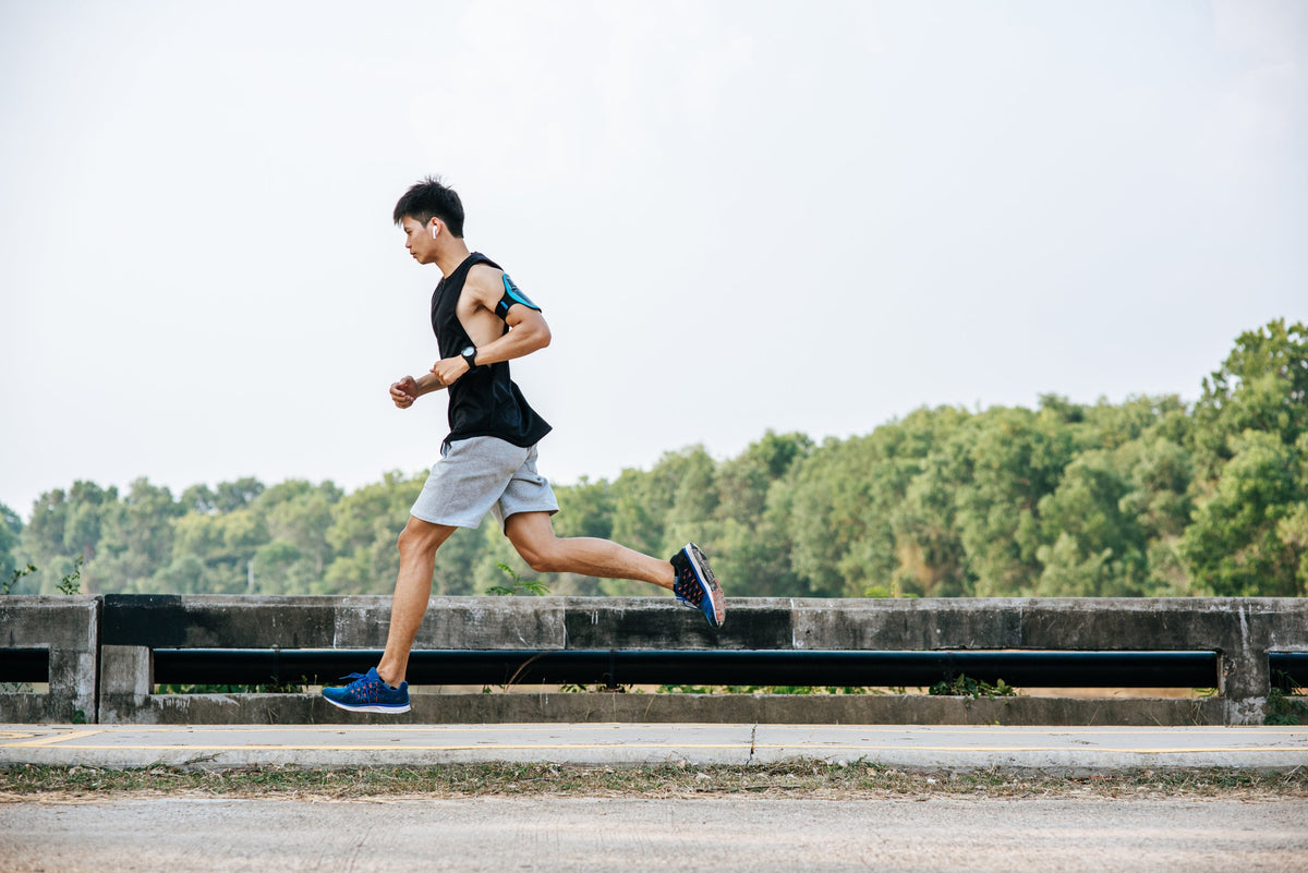 Whey Protein Powder for Men: Strength, Recovery & Metabolic Support