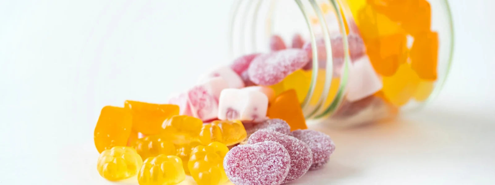 Probiotic Gummies: Your Complete Adult Guide