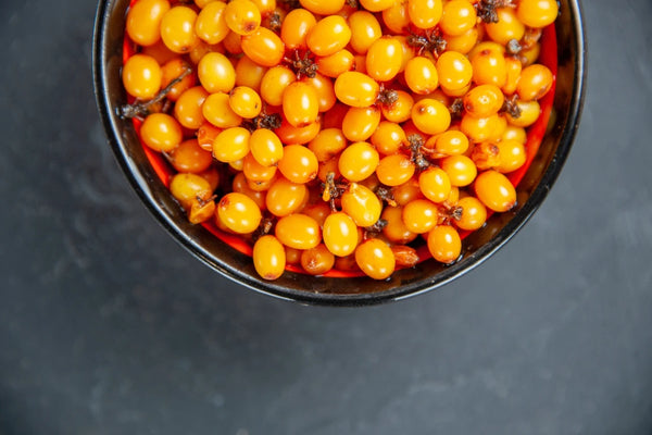 Sea Buckthorn Berry: Expert Insights into Its Versatile Uses 