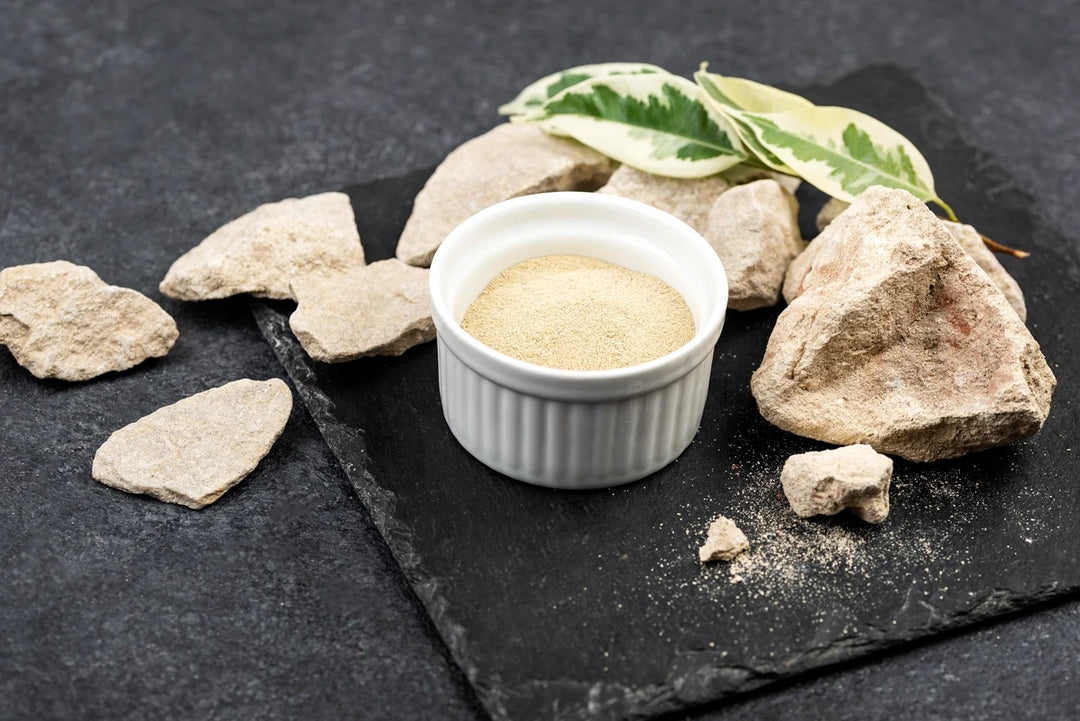 What is Fermented Yeast Protein and Its Benefits? 