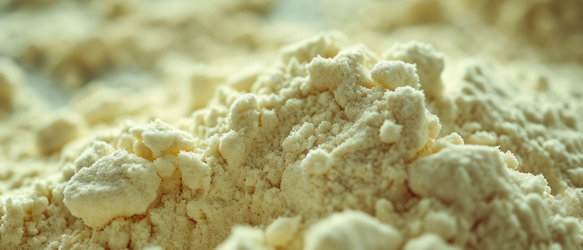 Whey Protein vs Casein