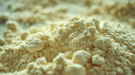 Whey Protein Powders For Beginners