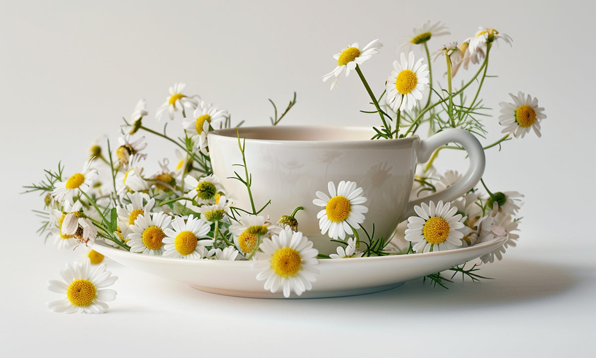 Chamomile tea for sleep