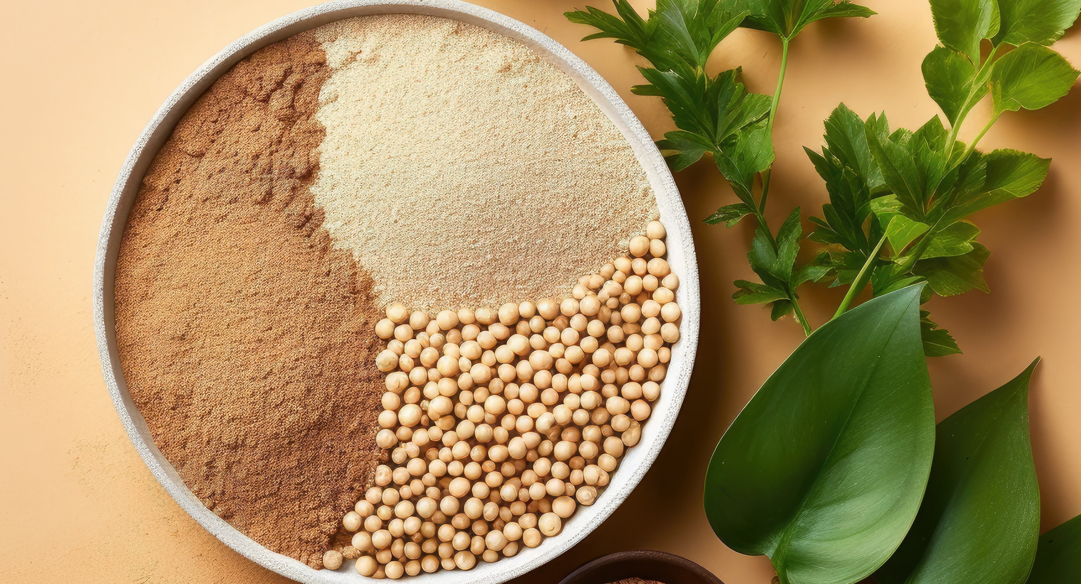 Types of Protein Powders and Which is Better? – Wellbeing Nutrition