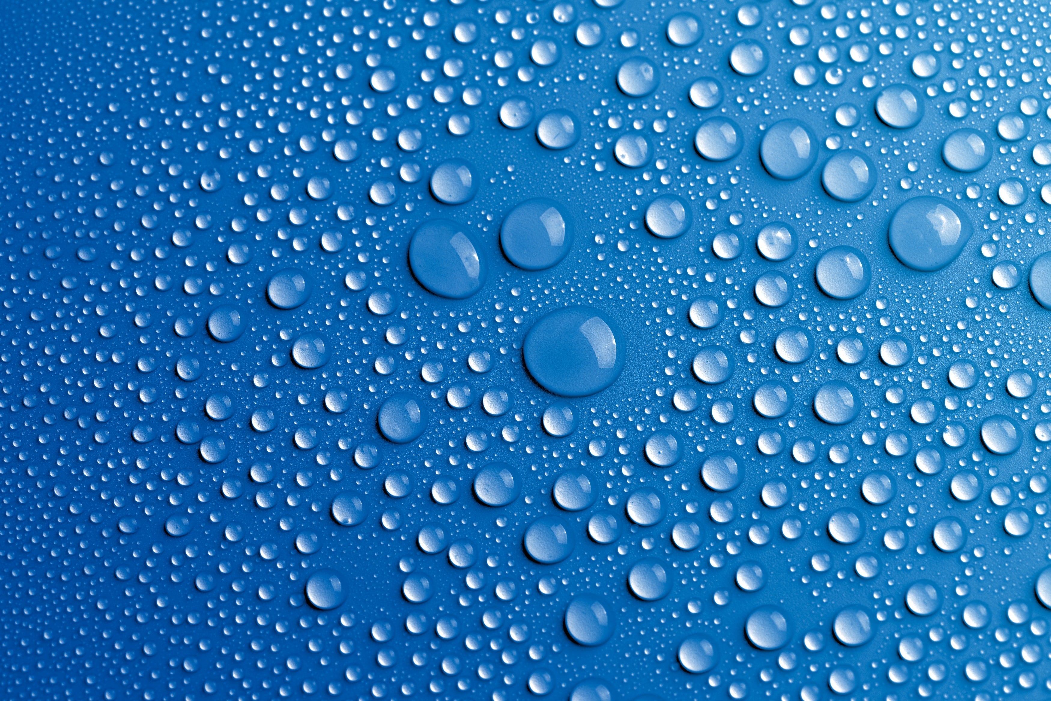 Electrolytes vs Trace Minerals