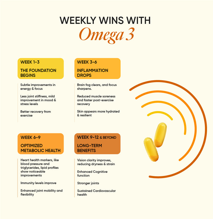 3x Strength Omega 3 Fish Oil