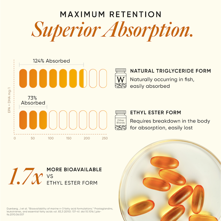 6x Strength Omega 3 Fish Oil