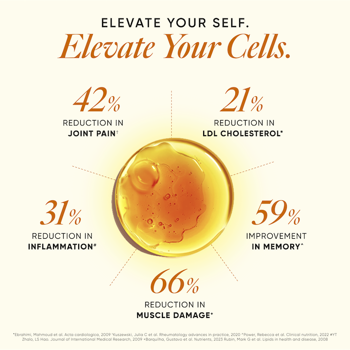 6x Strength Omega 3 Fish Oil