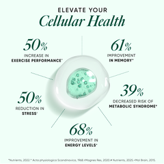 improve cellular health with magnesium