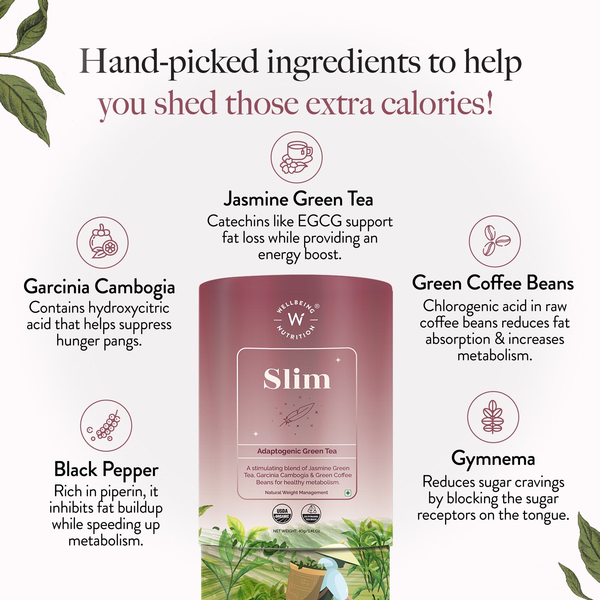 Slim Tea Infusions - Raw Essentials Tea