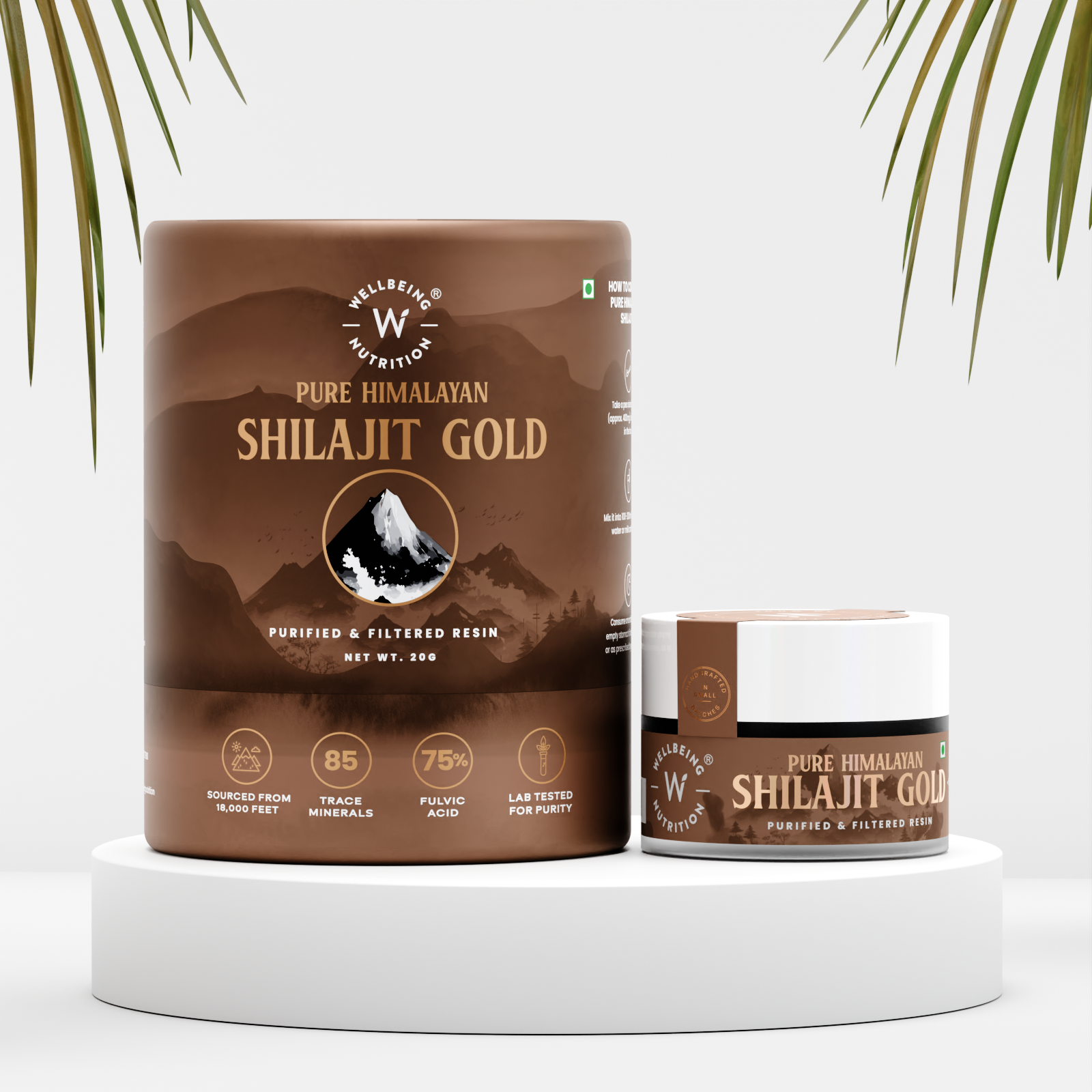 Pure Himalayan Shilajit Supplements for All | Wellbeing Nutrition