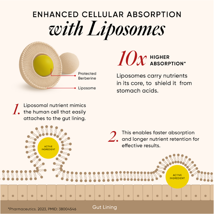 Liposomal Berberine HCL+