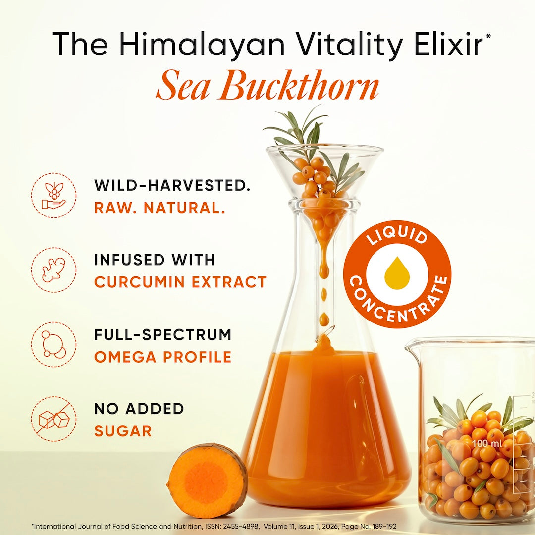 himalayan sea buckthorn