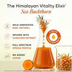 himalayan sea buckthorn