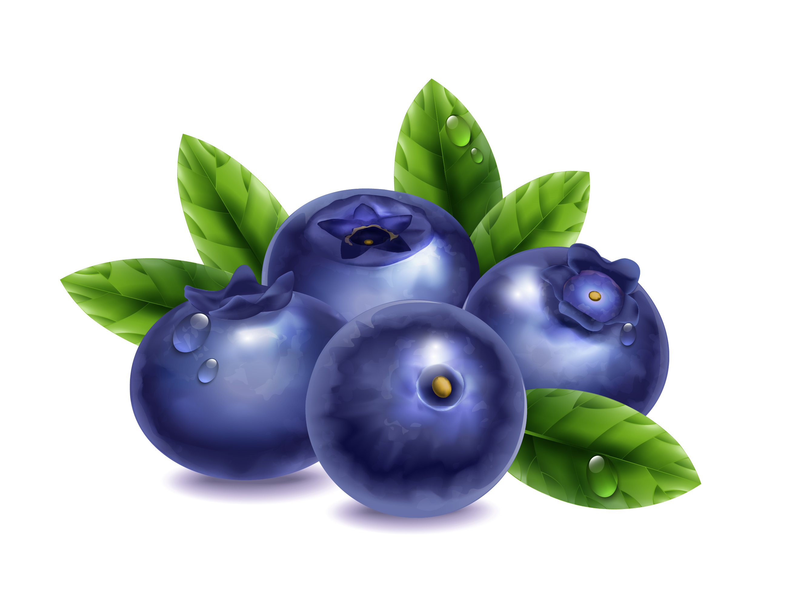 do blueberries have glutathione you heard of glutathione It's often called your body's master inflammation fighter! In endometriosis, research shows capacity can be reduced. That means lower protection against oxidative stress, which can fuel BIO KRAUTER Glutathione Supplement for