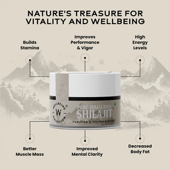 Shilajit Resin