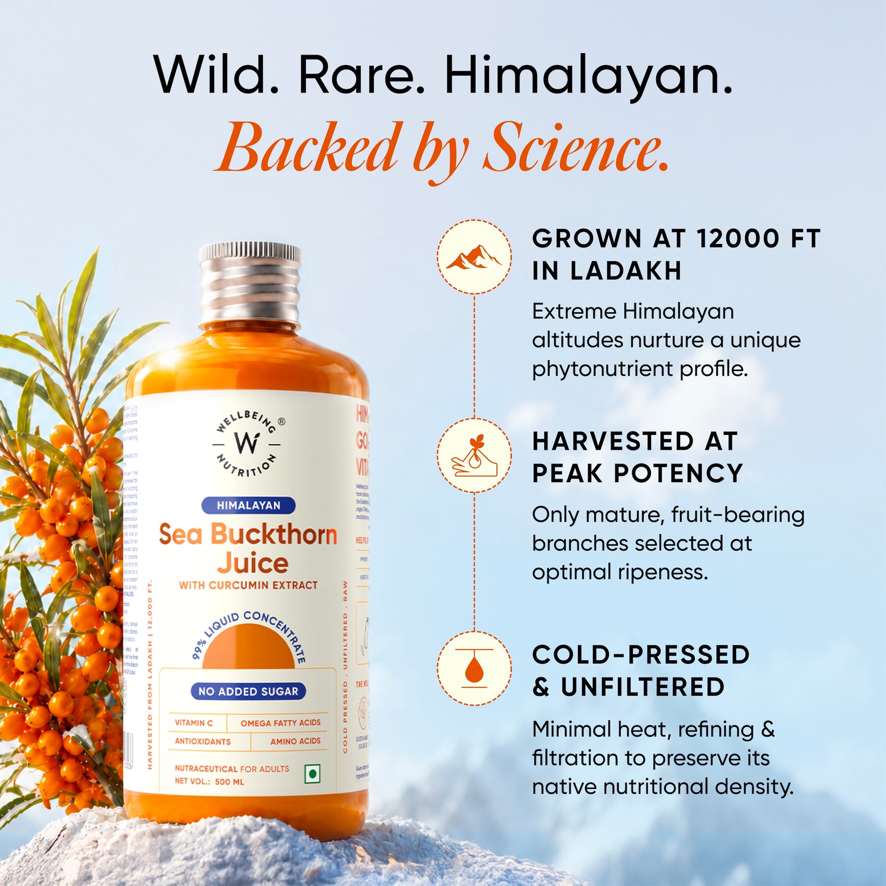 Himalayan Sea Buckthorn Juice with Curcumin Extract | 500ml