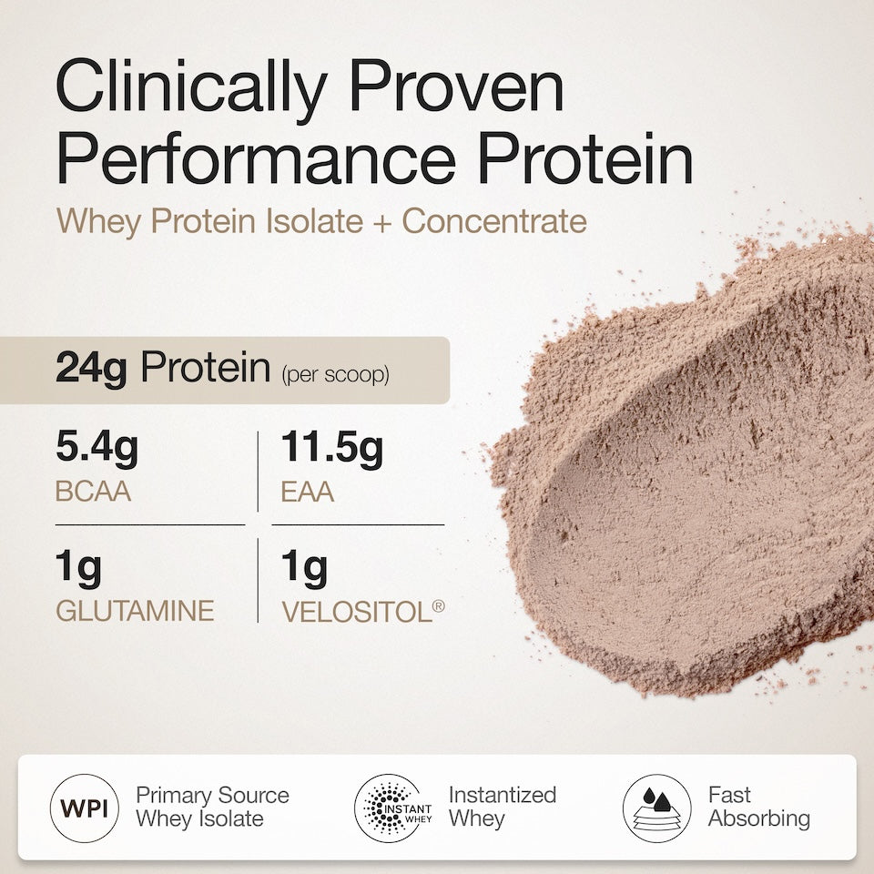 Whey Protein Isolate + Concentrate 24g | 1KG | 4B CFU Probiotics | Swiss Chocolate & Creatine Monohydrate Unflavored