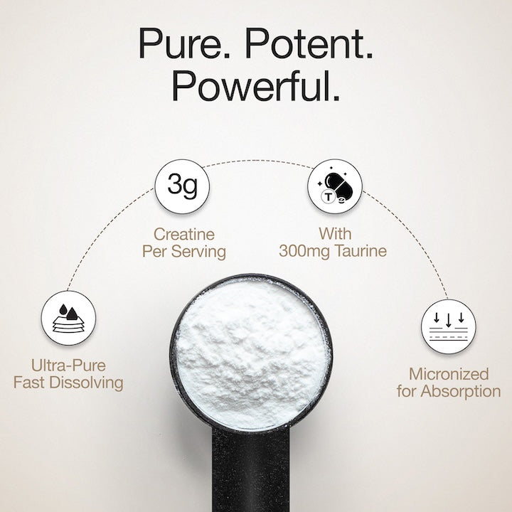 Whey Protein Isolate + Concentrate 24g | 1KG | 4B CFU Probiotics | Cappuccino & Creatine Monohydrate Unflavored