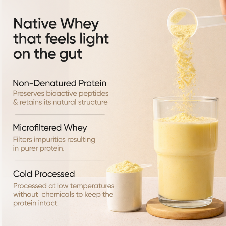 Whey Protein Isolate + Concentrate 24g | 1kg | 4B CFU Probiotics | Mango Flavoured