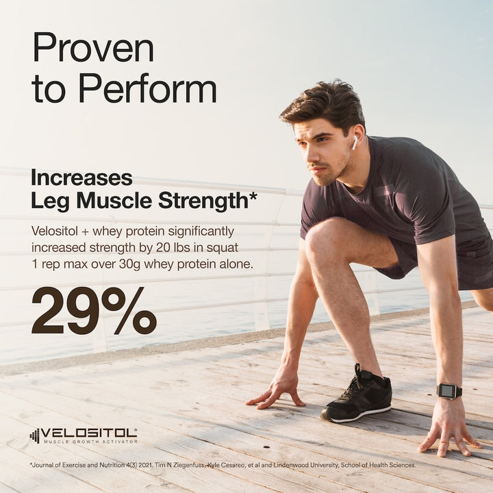 Whey Protein Isolate Dark Chocolate & Creatine Monohydrate Unflavored