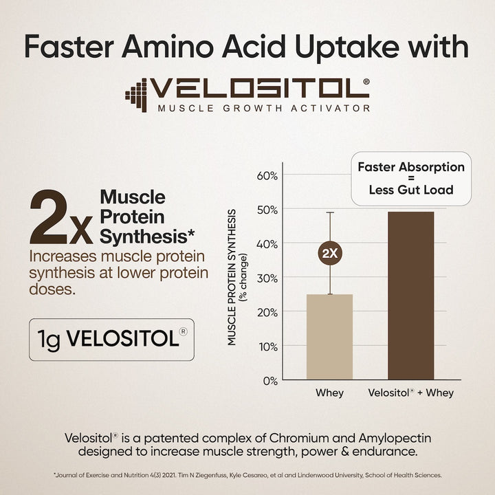 Whey Protein Isolate 26g | 1kg | 4B CFU Probiotics | Dark Chocolate