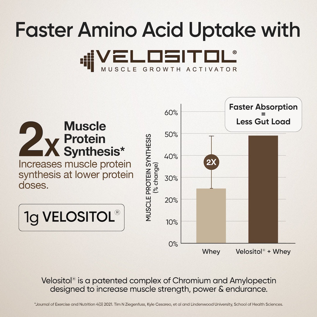 Whey Protein Isolate 26g | 2kg |  4B CFU Probiotics | Dark Chocolate