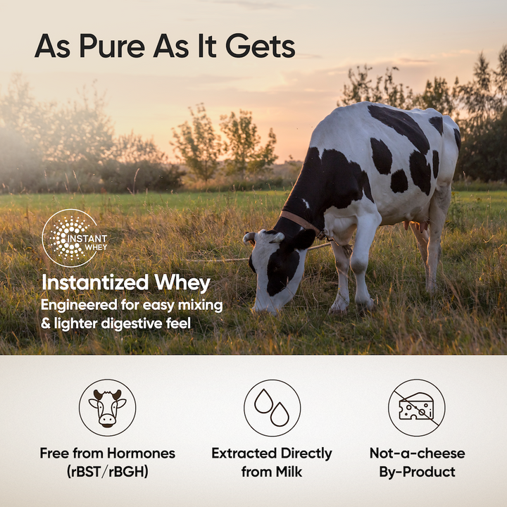 Whey Protein Concentrate 27g | 1kg | 4B CFU Probiotics | Unflavoured