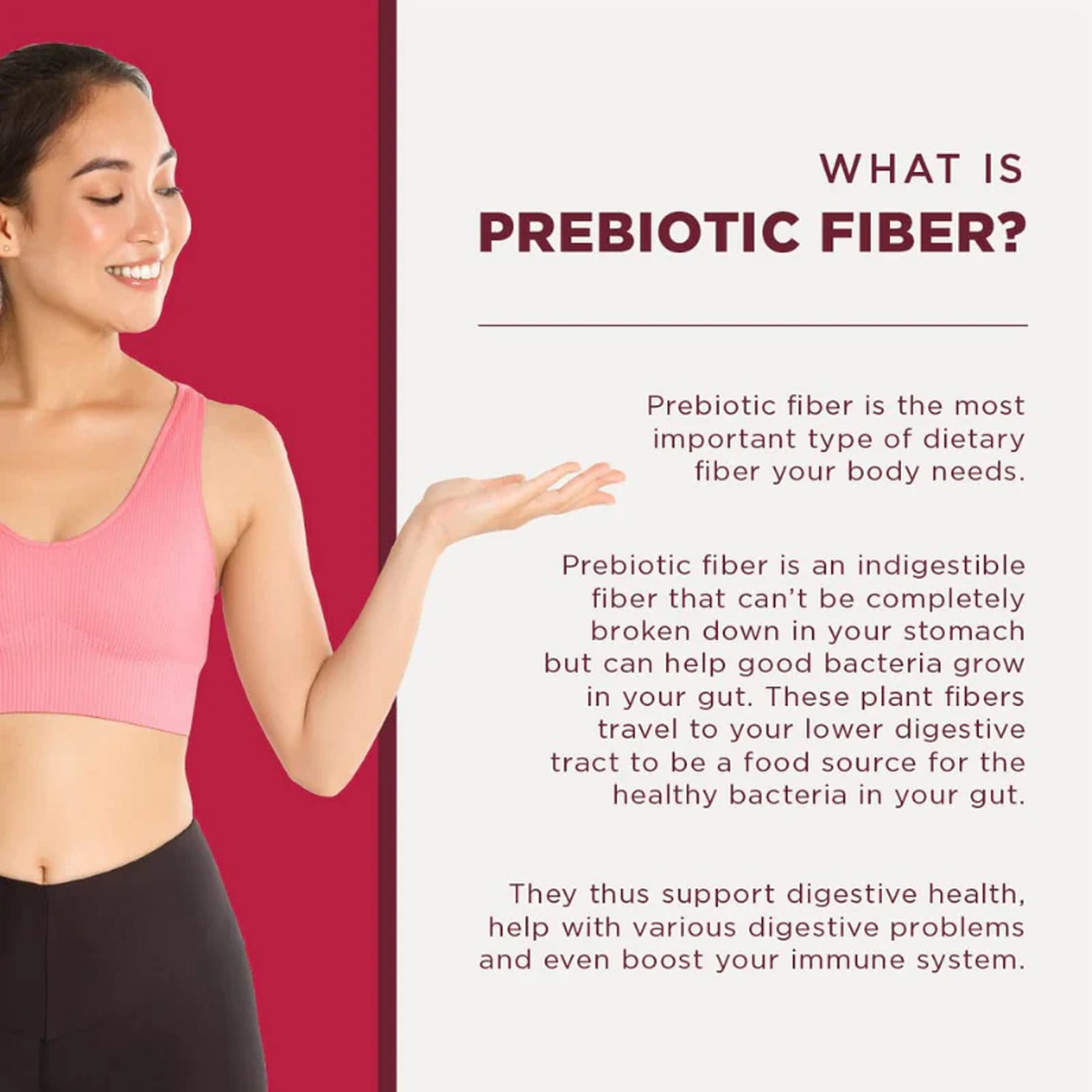Daily Fiber | Vanilla Berry Flavour