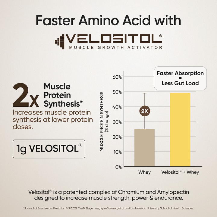 Whey Protein Isolate + Concentrate 24g | 1kg | 4B CFU Probiotics | Mango Flavoured