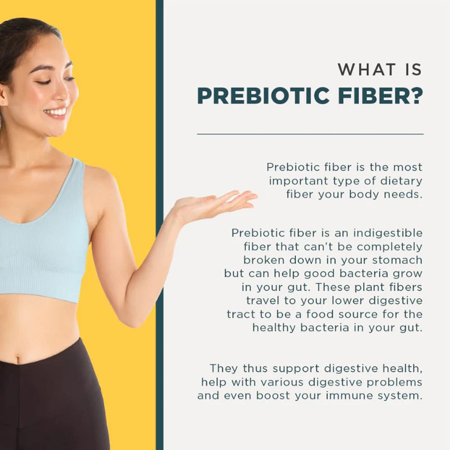 Daily Fiber | Pina Colada Flavour