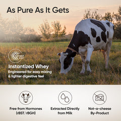 Purest Whey Isolate Protein