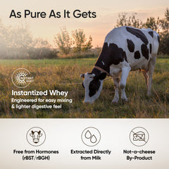 Whey Protein Isolate + Concentrate 24g | 1kg | 4B CFU Probiotics | Swiss Chocolate