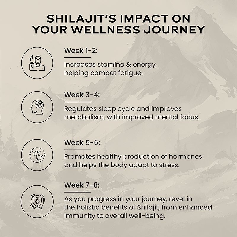 Shilajit Resin