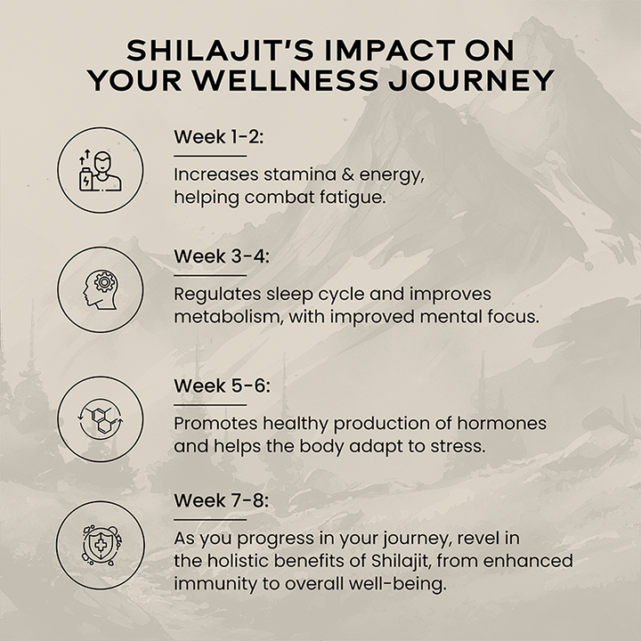 Shilajit Resin