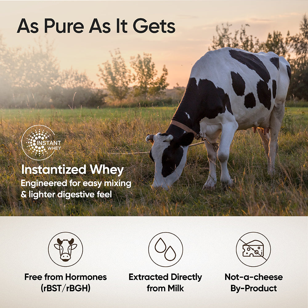 Whey Protein Isolate + Concentrate 24g | 1kg| 4B CFU Probiotics | Cappuccino