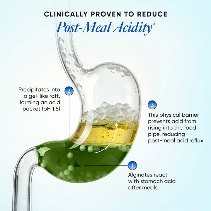 Acidity Calm | Acid Reflux & Heartburn Relief | For Seniors | 15 Sachets