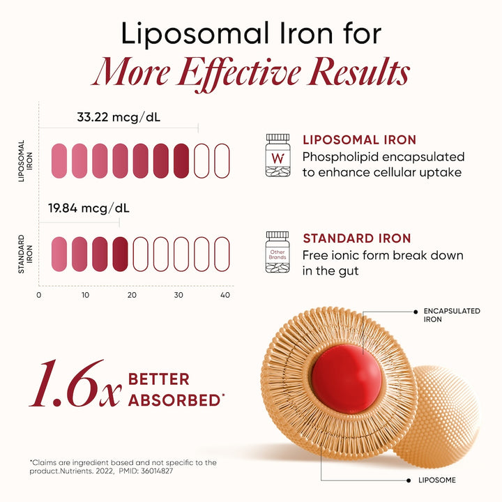 Liposomal Iron Complex |Pack of 60 Capsules