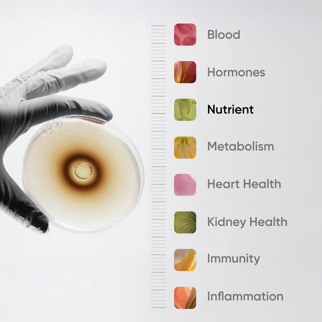 Book Your Blood Test